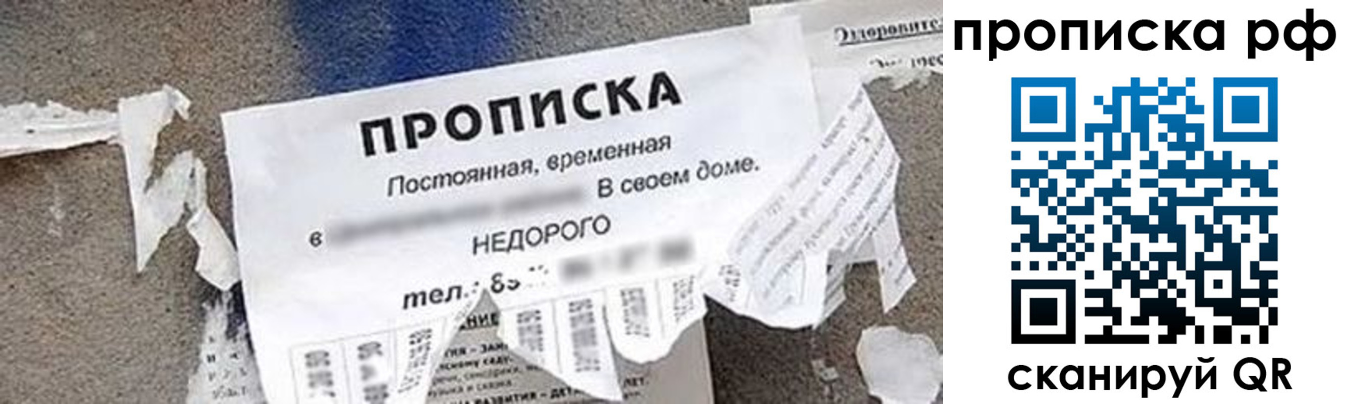где прописаться в Богучаре